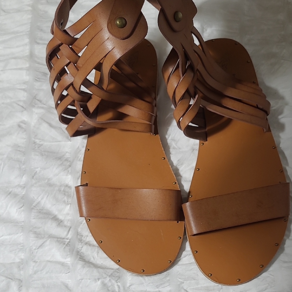 Beast Gladiator Sandals